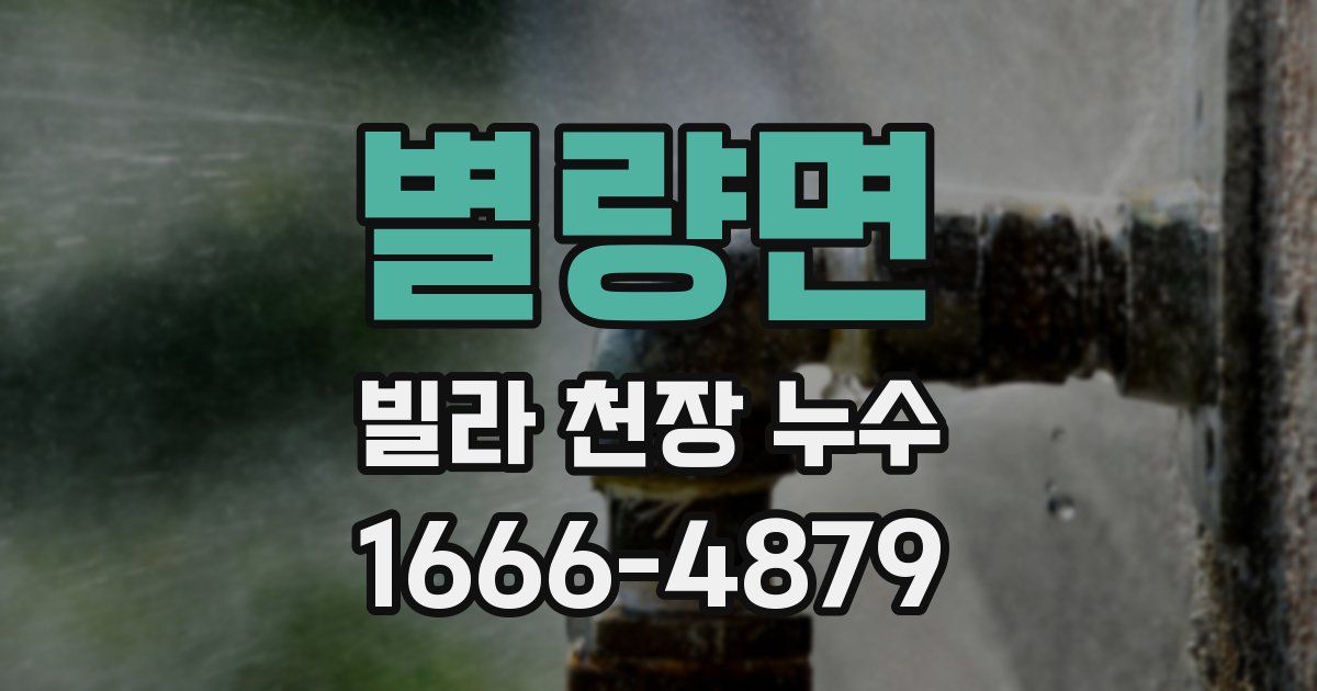 별량면 빌라 천장 누수