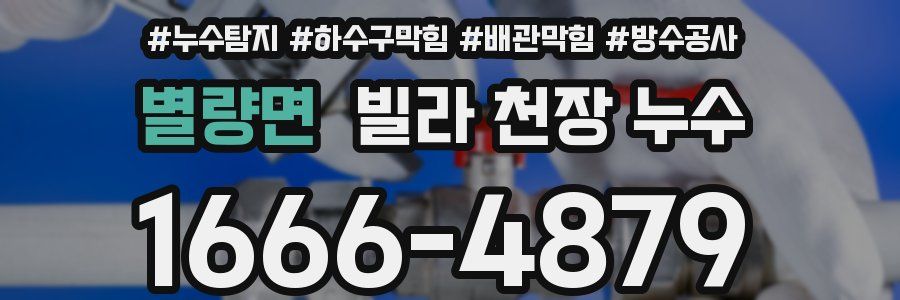 별량면 빌라 천장 누수