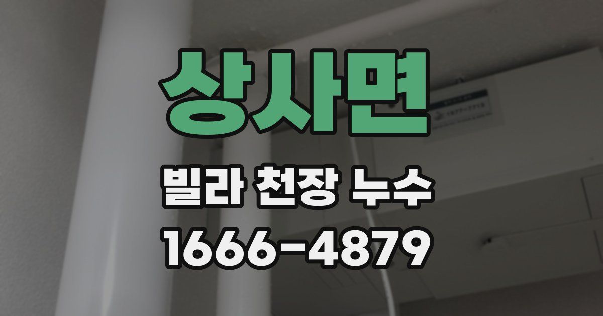 상사면 빌라 천장 누수
