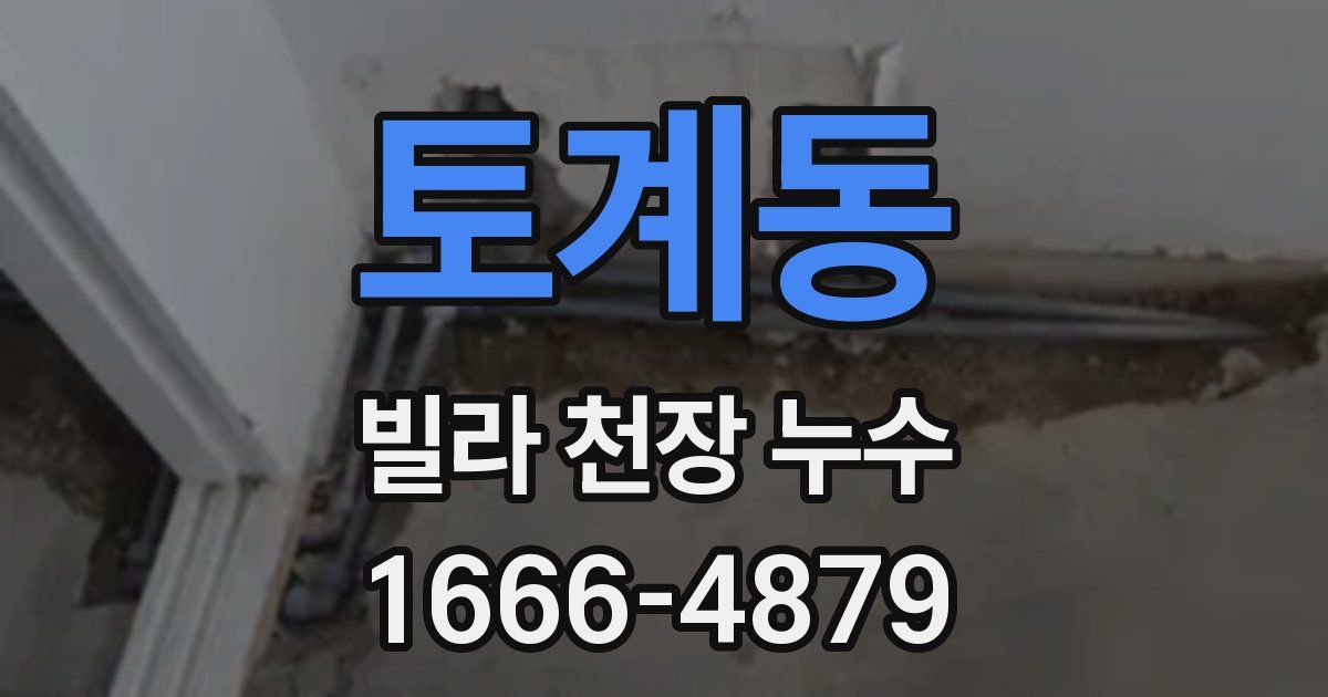 토계동 빌라 천장 누수