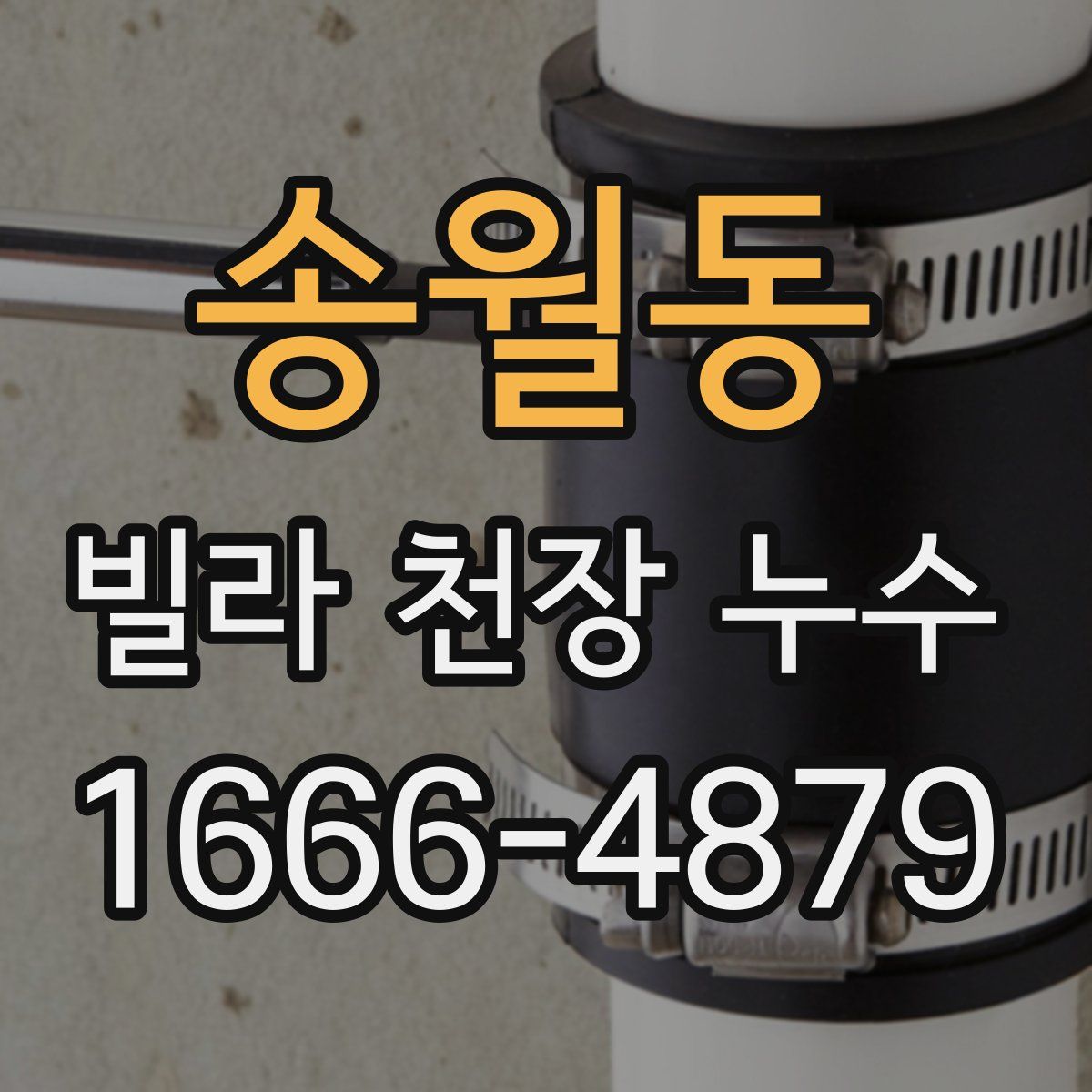 송월동 빌라 천장 누수