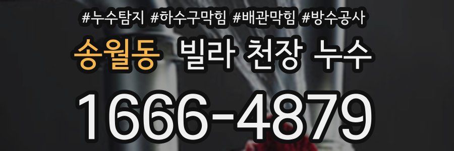 송월동 빌라 천장 누수