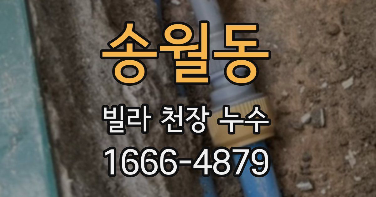 송월동 빌라 천장 누수