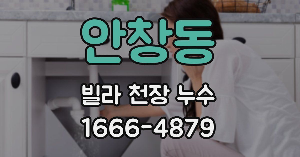 안창동 빌라 천장 누수