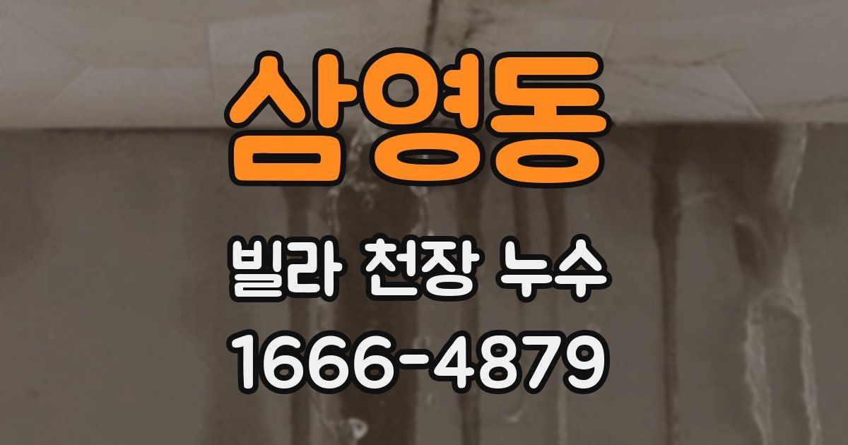 삼영동 빌라 천장 누수