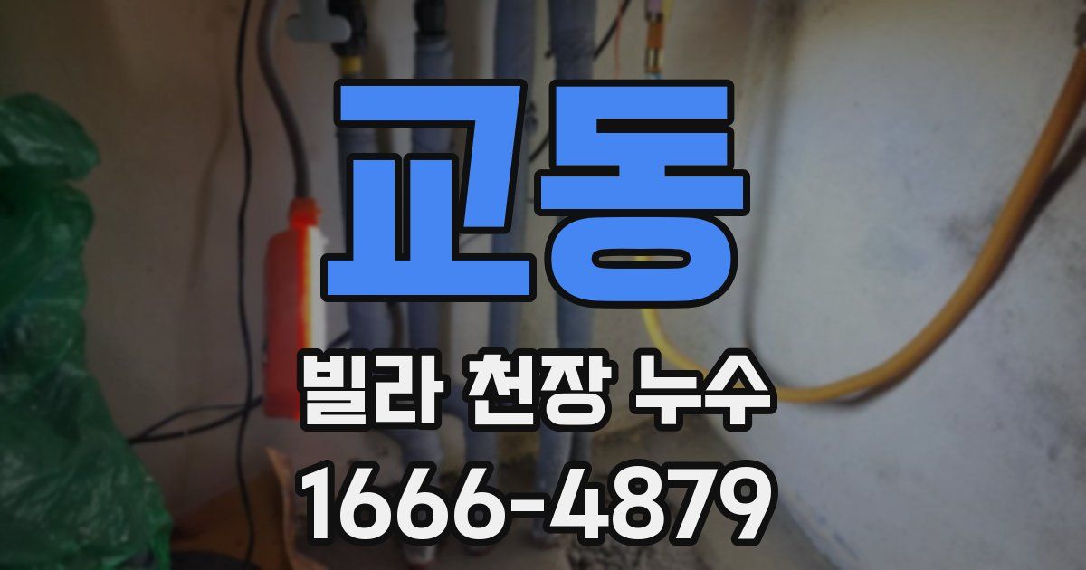 교동 빌라 천장 누수