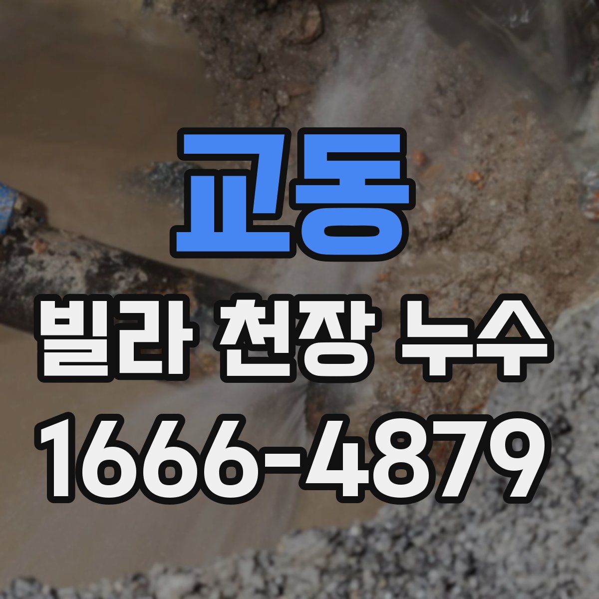 교동 빌라 천장 누수