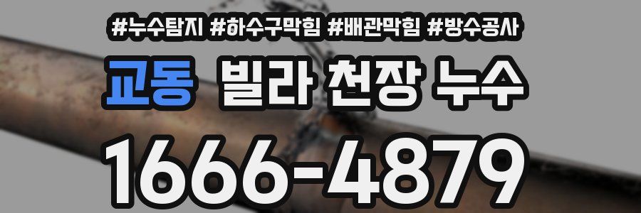 교동 빌라 천장 누수