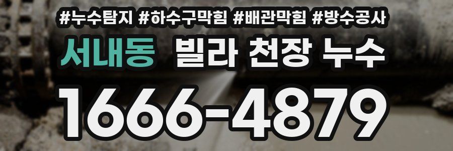 서내동 빌라 천장 누수