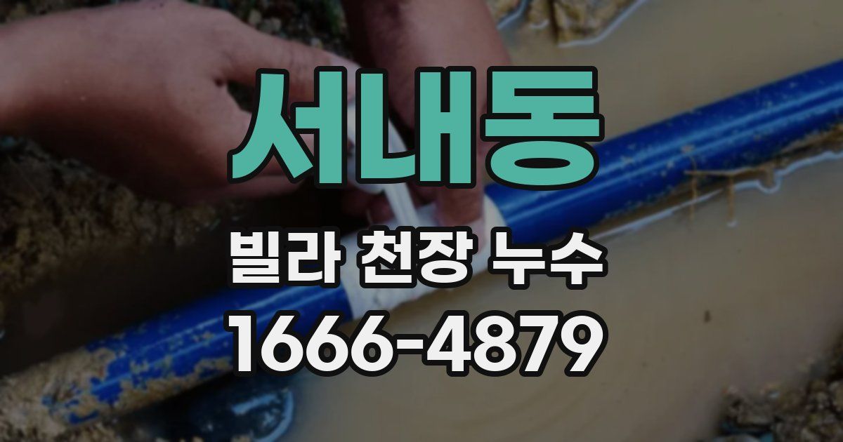 서내동 빌라 천장 누수