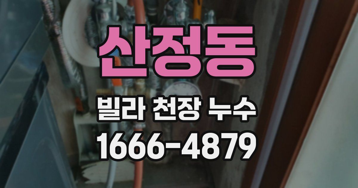 산정동 빌라 천장 누수