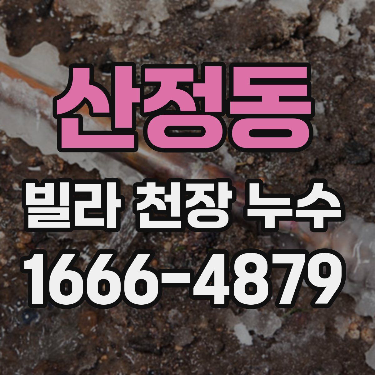 산정동 빌라 천장 누수