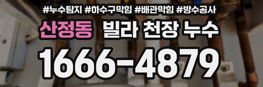 산정동 빌라 천장 누수