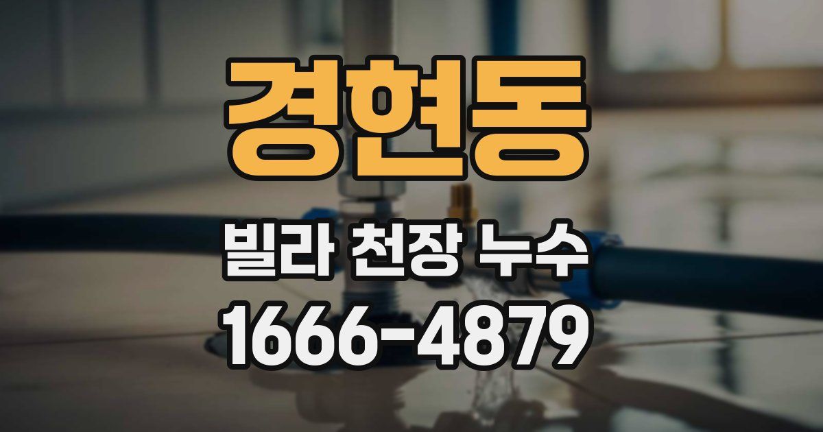 경현동 빌라 천장 누수