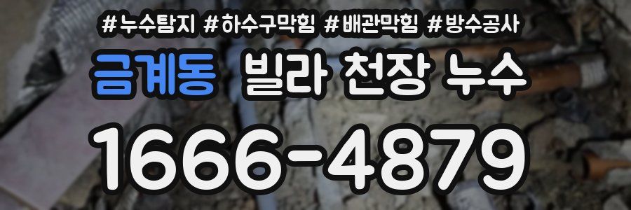 금계동 빌라 천장 누수