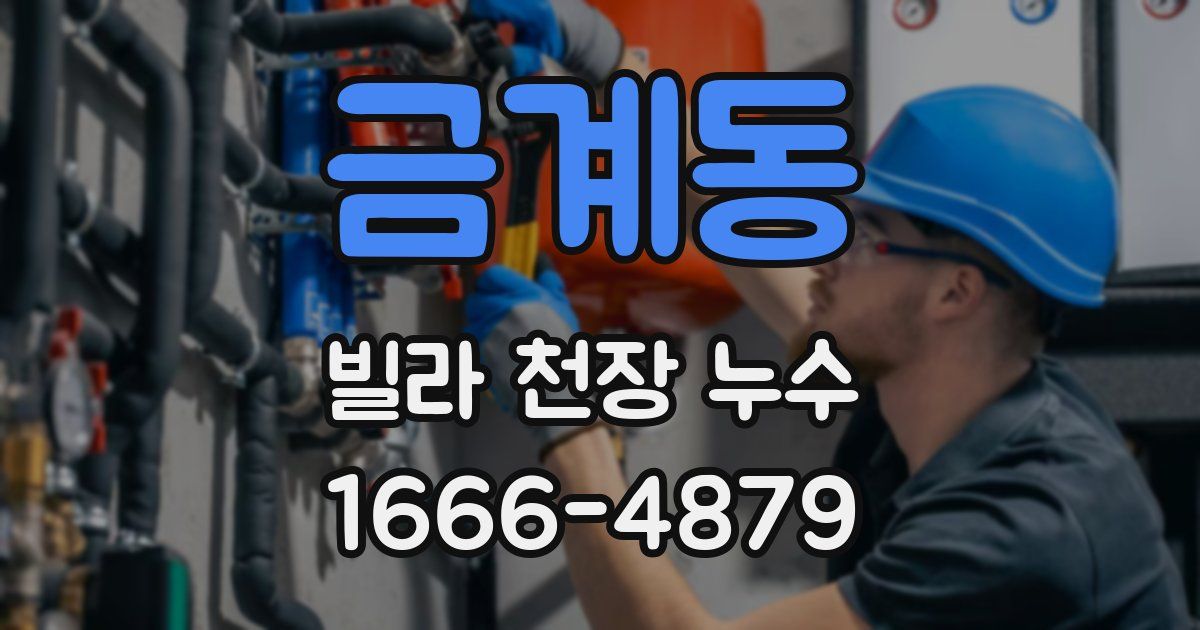 금계동 빌라 천장 누수