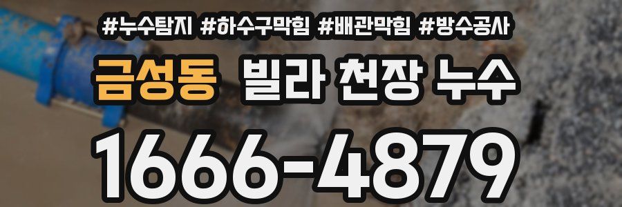금성동 빌라 천장 누수