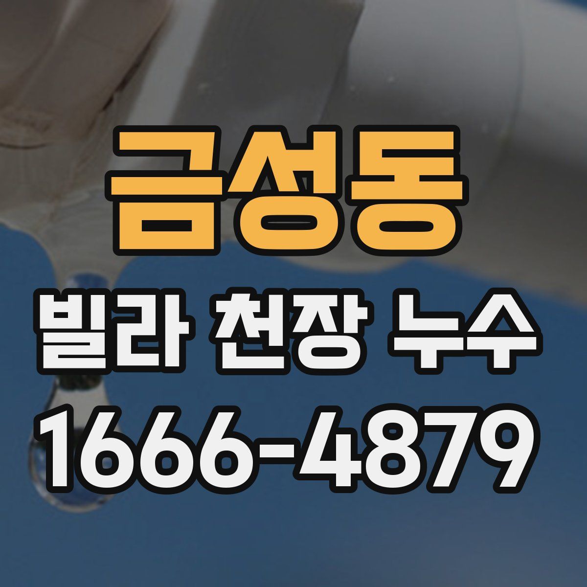 금성동 빌라 천장 누수