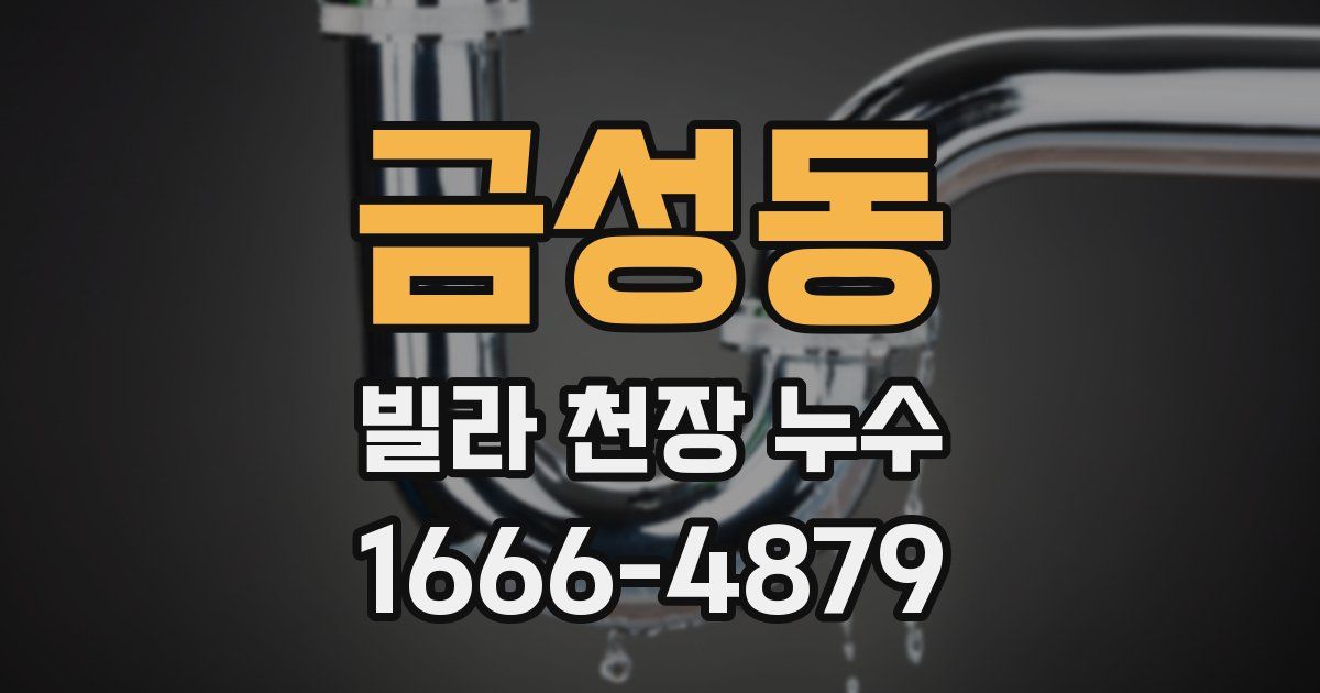 금성동 빌라 천장 누수
