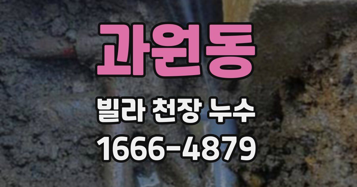 과원동 빌라 천장 누수
