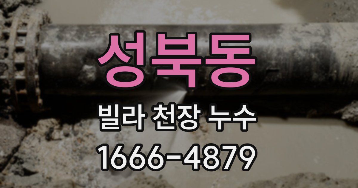 성북동 빌라 천장 누수