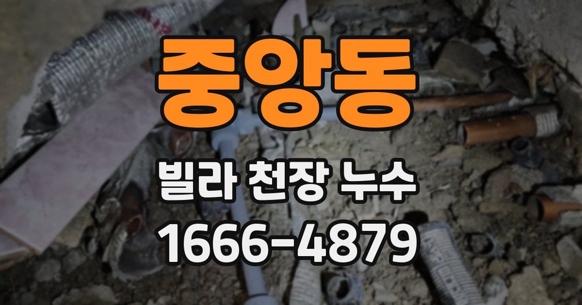 중앙동 빌라 천장 누수