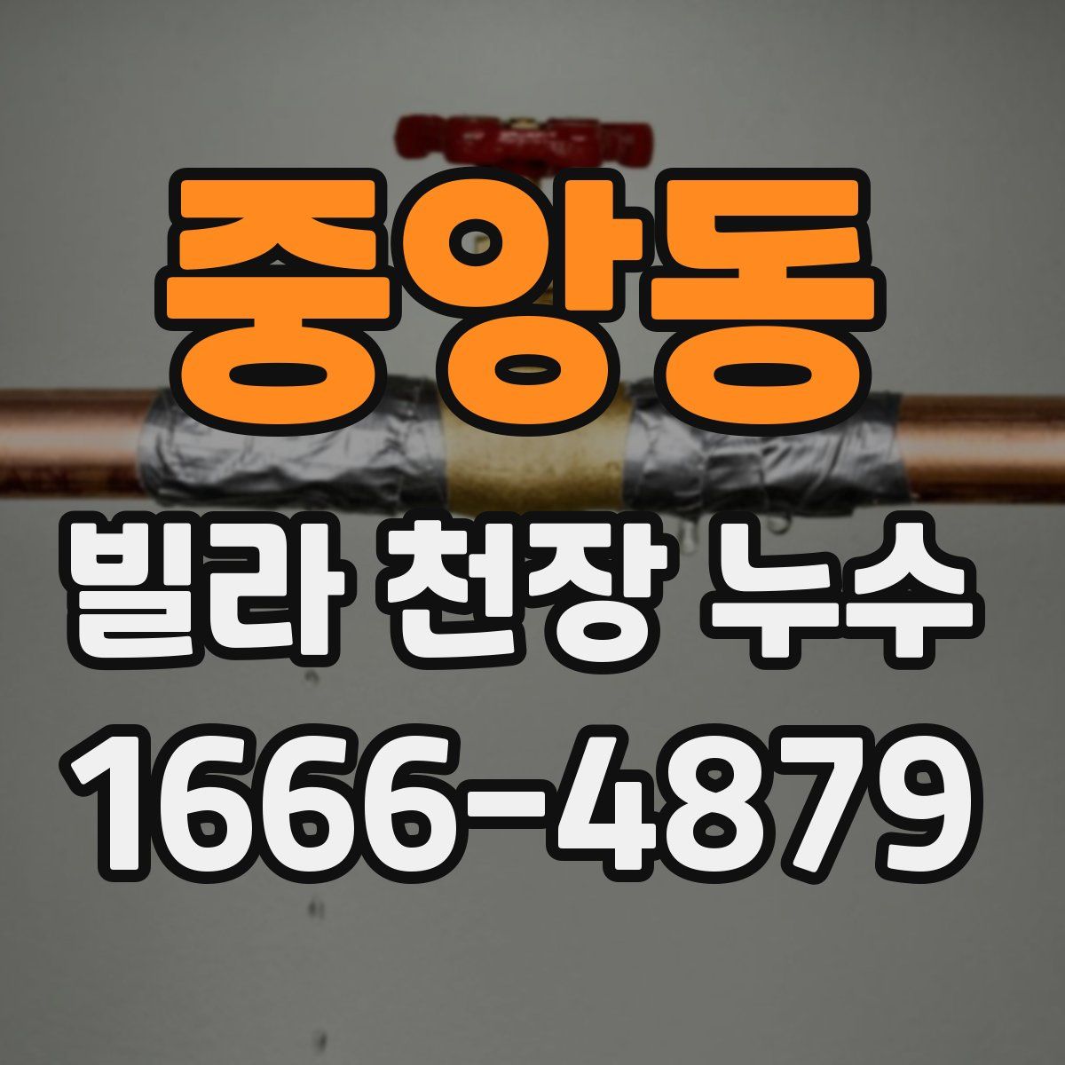 중앙동 빌라 천장 누수