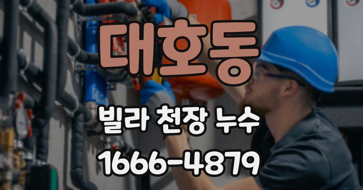 대호동 빌라 천장 누수
