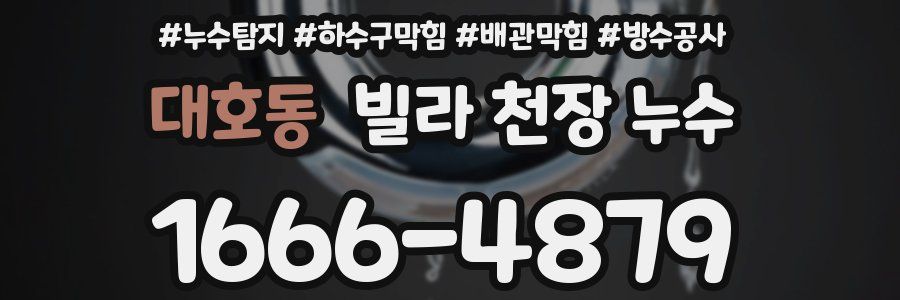 대호동 빌라 천장 누수