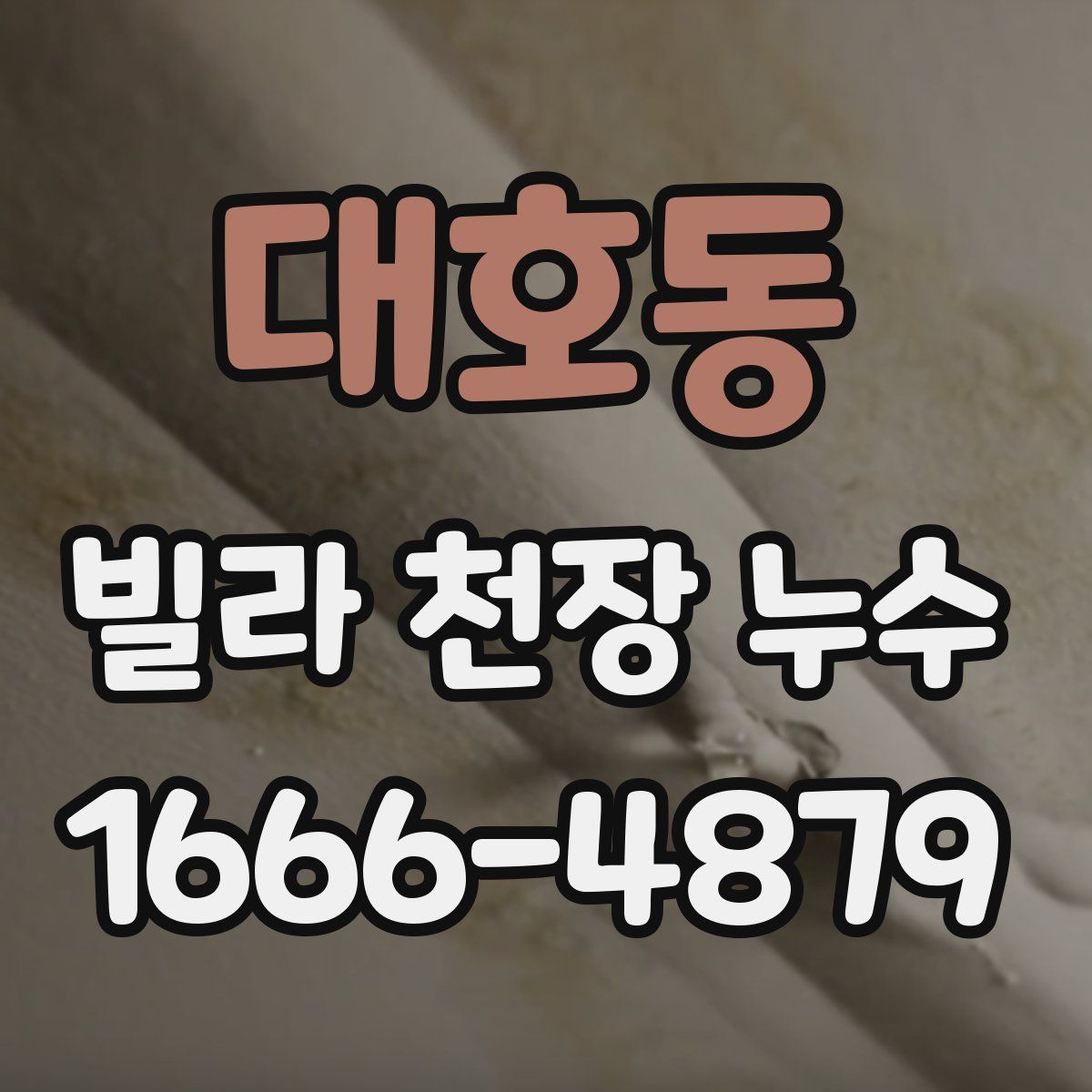 대호동 빌라 천장 누수