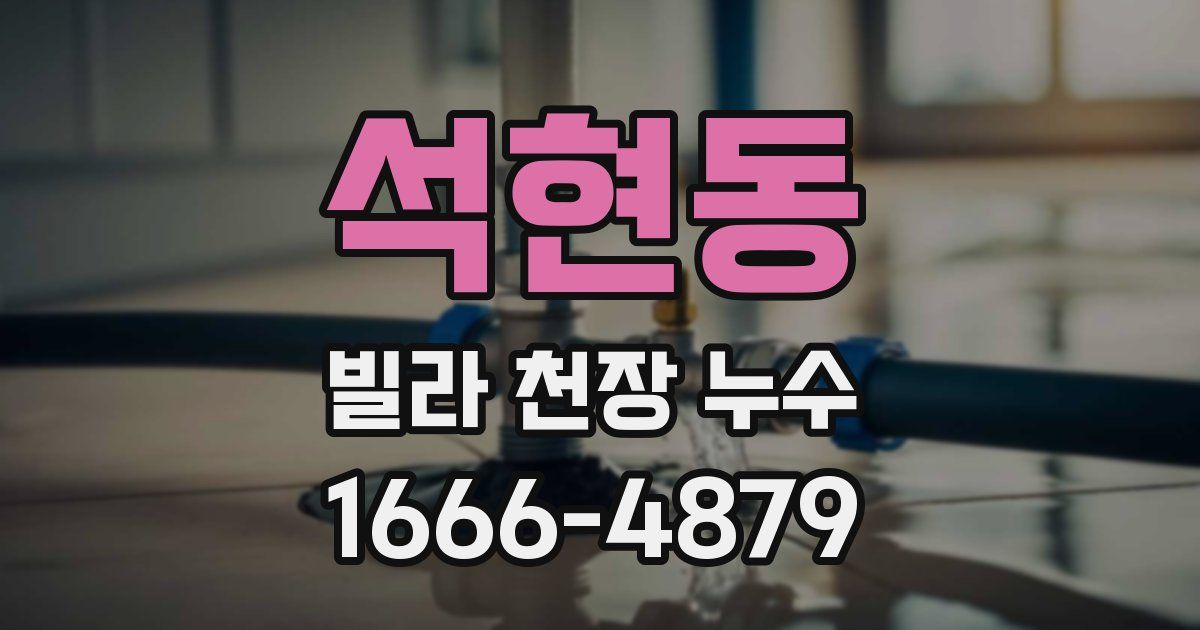 석현동 빌라 천장 누수