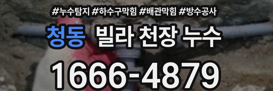 청동 빌라 천장 누수