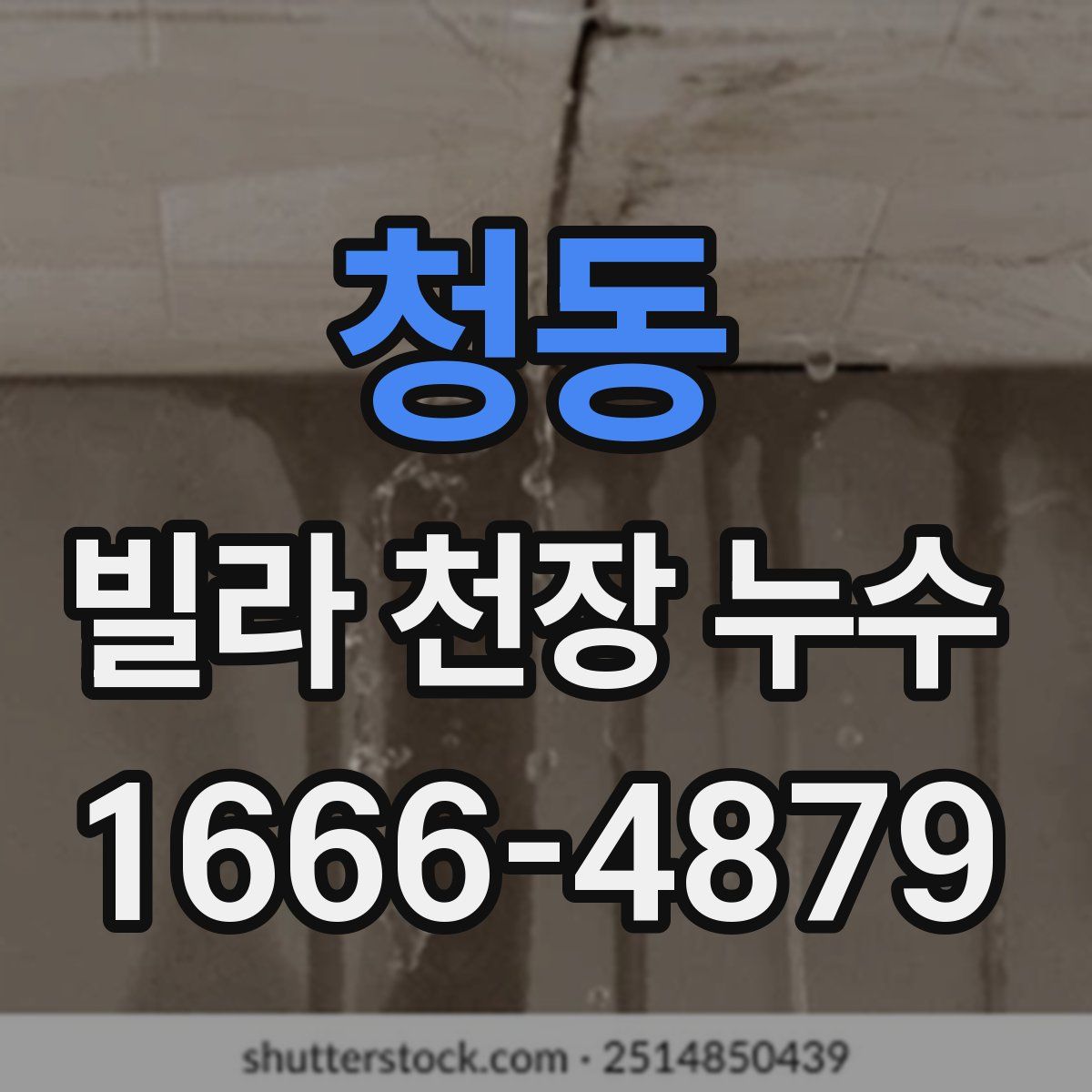 청동 빌라 천장 누수