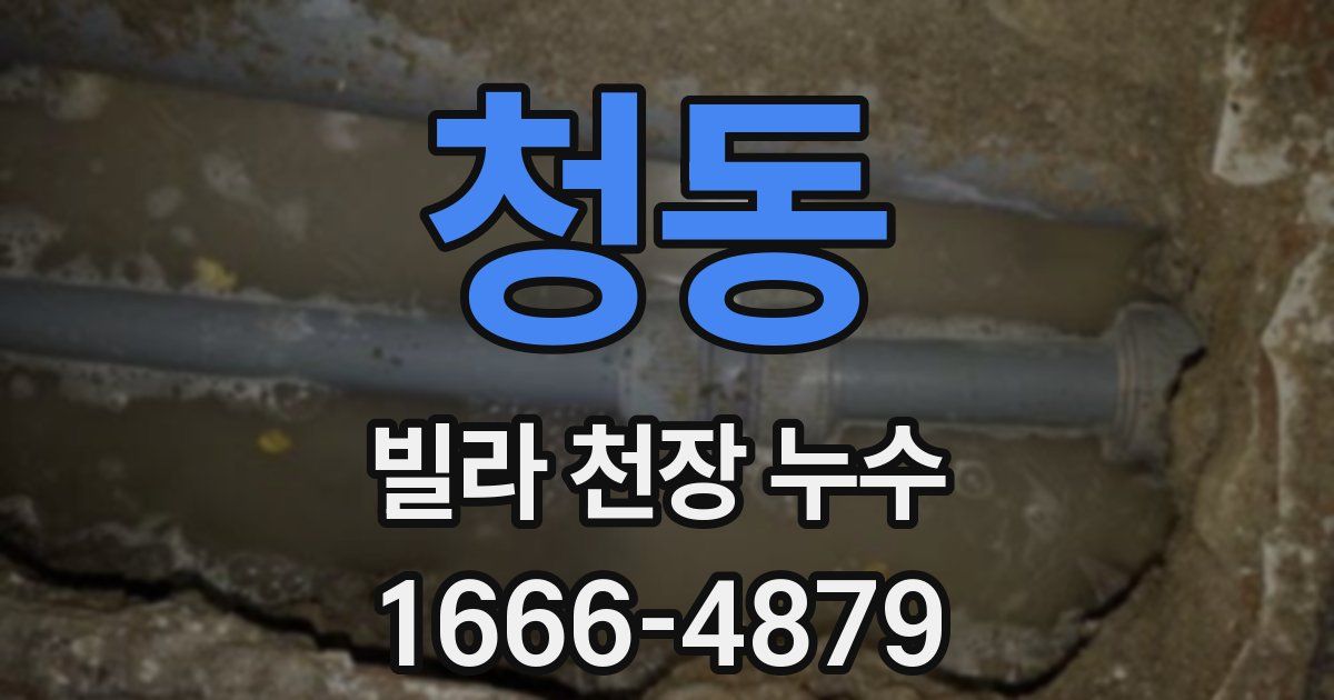 청동 빌라 천장 누수
