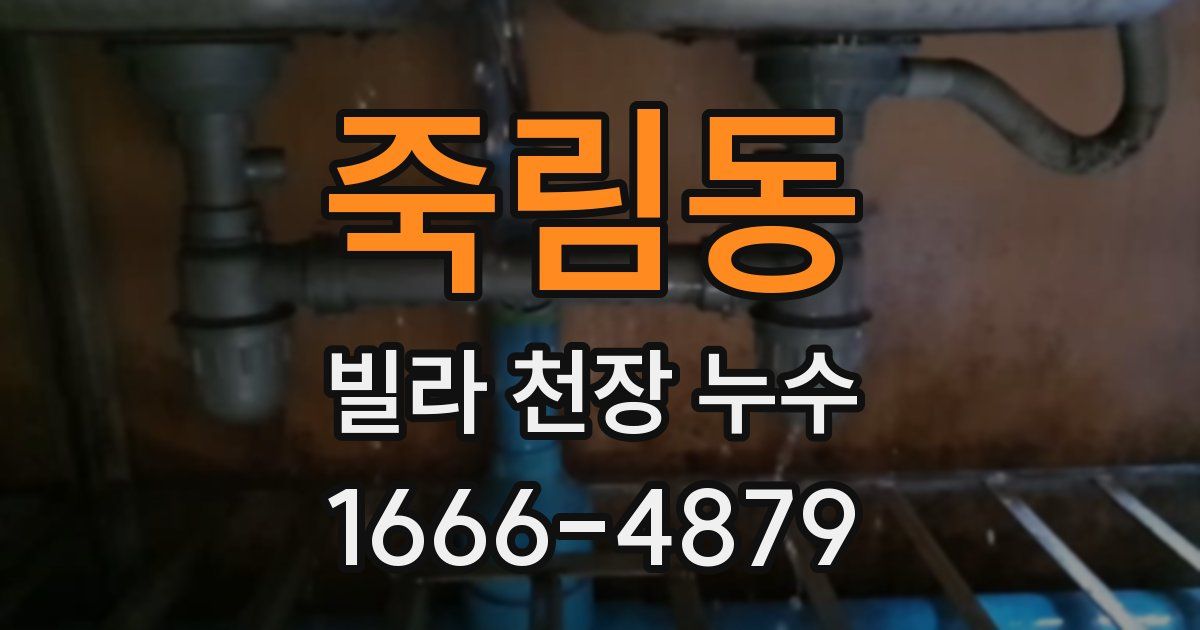 죽림동 빌라 천장 누수