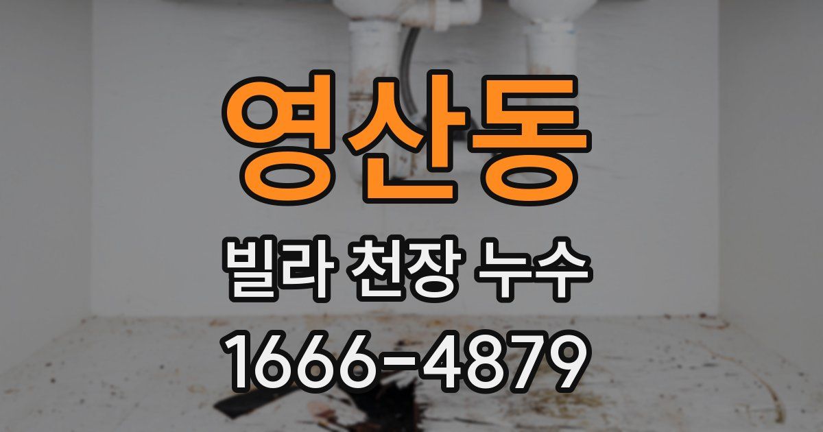 영산동 빌라 천장 누수