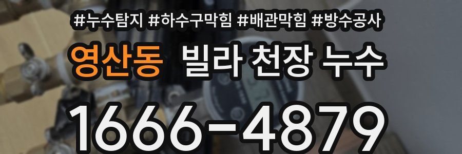 영산동 빌라 천장 누수