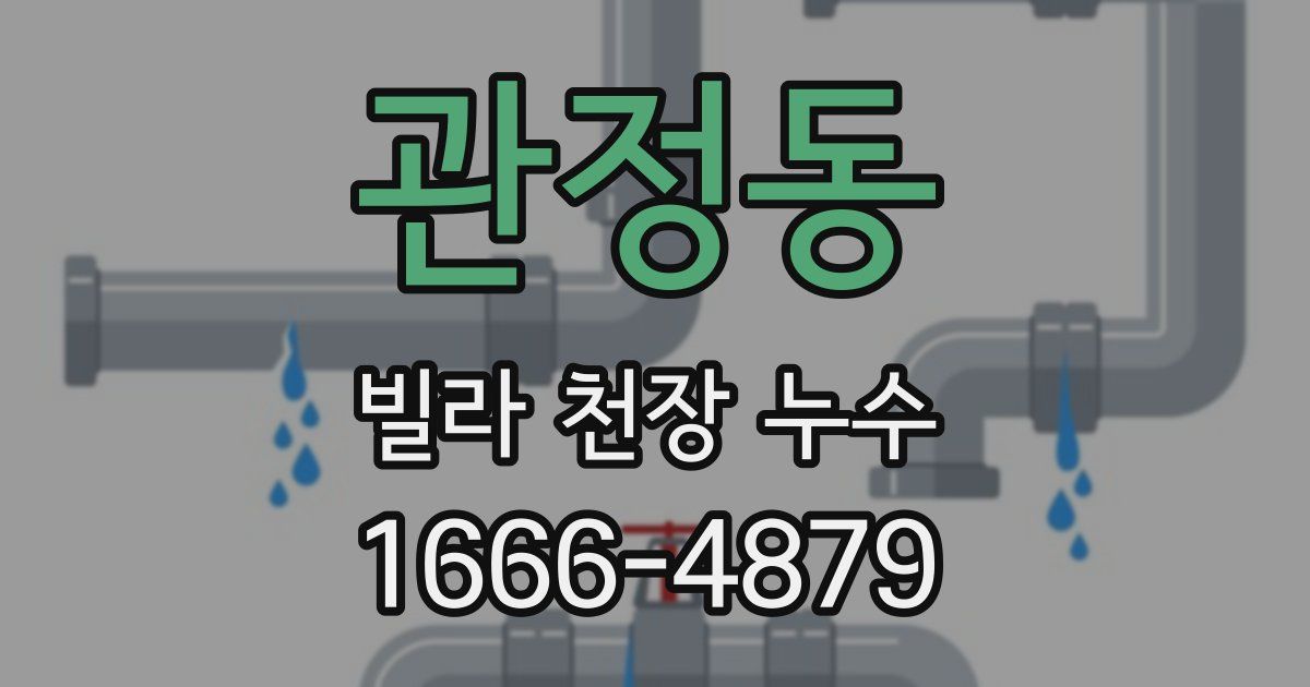 관정동 빌라 천장 누수