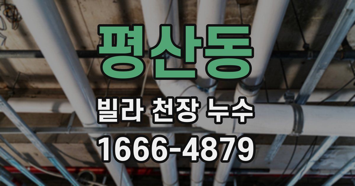 평산동 빌라 천장 누수