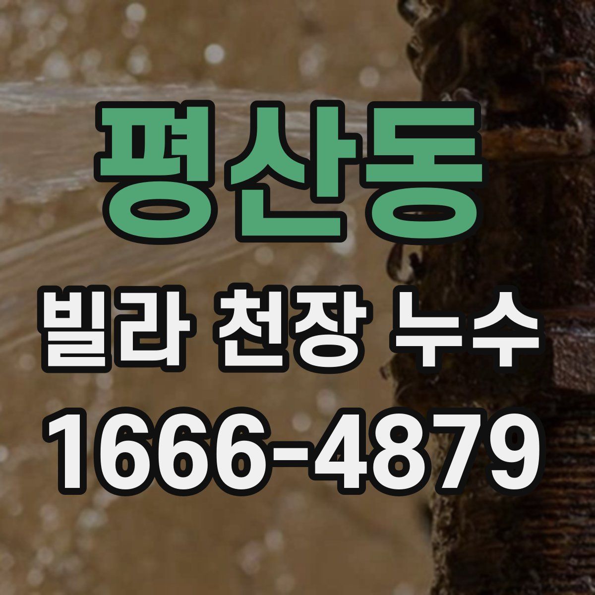 평산동 빌라 천장 누수