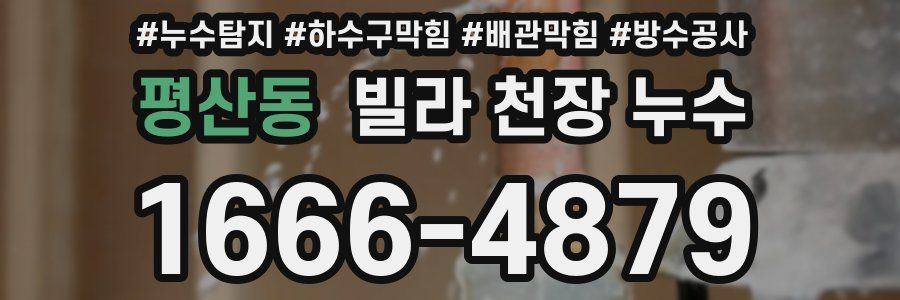 평산동 빌라 천장 누수