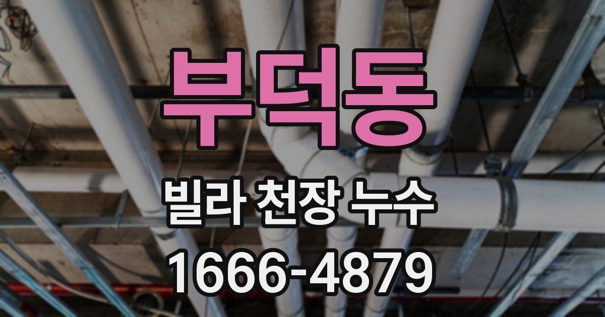 부덕동 빌라 천장 누수