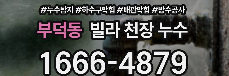 부덕동 빌라 천장 누수