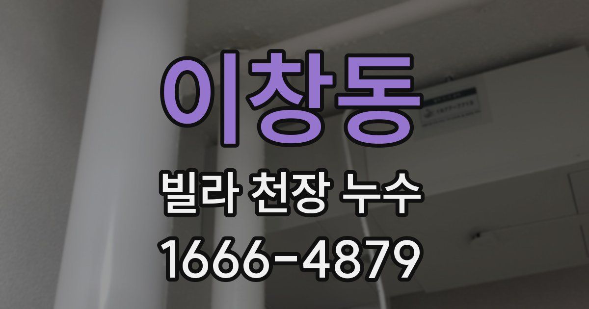 이창동 빌라 천장 누수