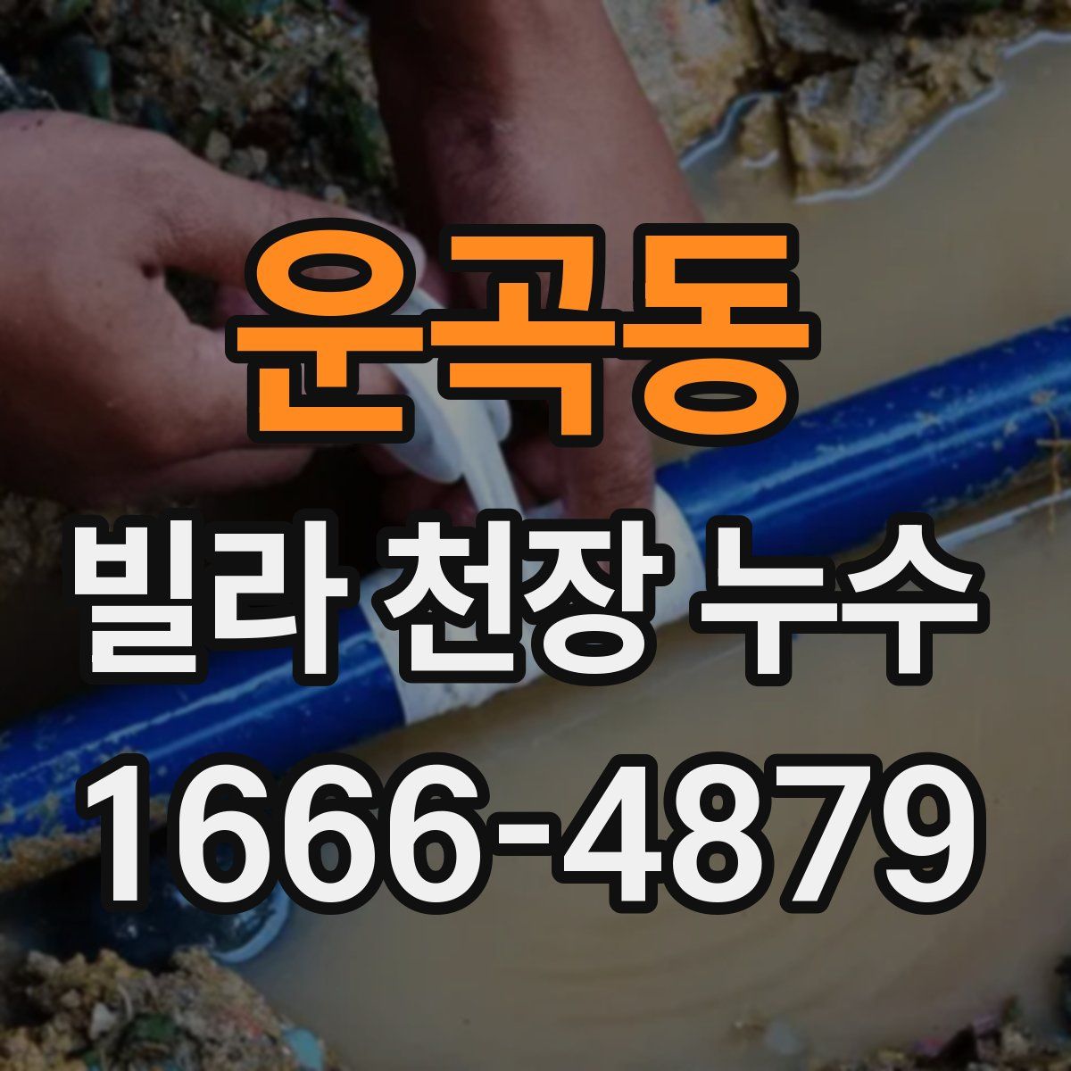운곡동 빌라 천장 누수