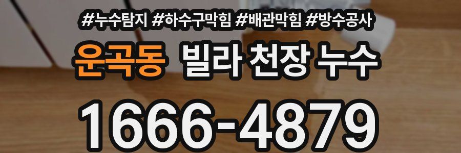 운곡동 빌라 천장 누수