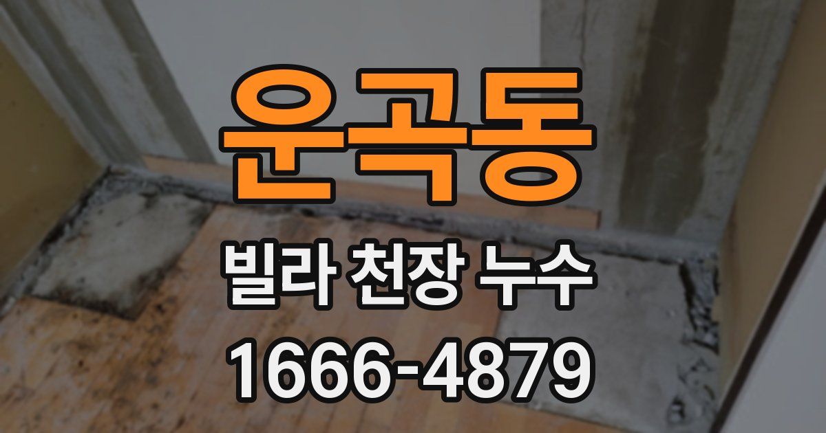 운곡동 빌라 천장 누수