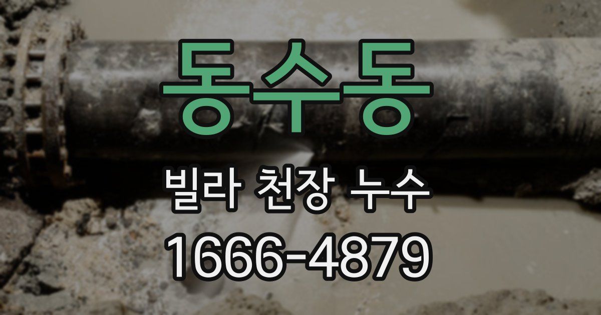 동수동 빌라 천장 누수