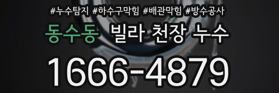 동수동 빌라 천장 누수
