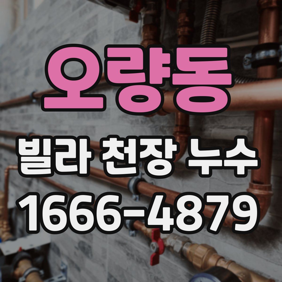 오량동 빌라 천장 누수
